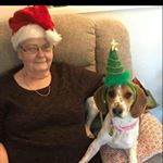 Profile Picture of Janet Salter (@jollyjanx) on Instagram