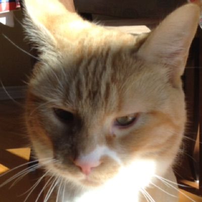 William Mallette - Tiktok Profile Picture of William Mallette (@will_mallette) on Tiktok