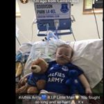Profile Picture of Joshua Hibbert (@hibbert09) on Instagram