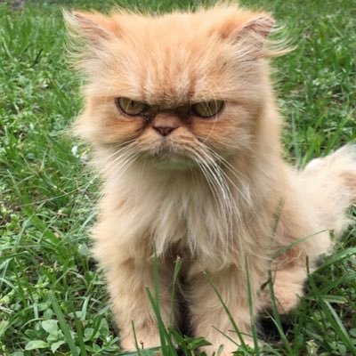 Profile Picture of Matthew Bate (@BateM86) on Twitter