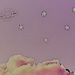 Profile Picture of Alice Alvarado (@aalvarado3392) on Pinterest
