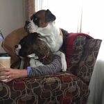 Profile Picture of Beverly Hughes (@beverly.hughes.792740) on Instagram