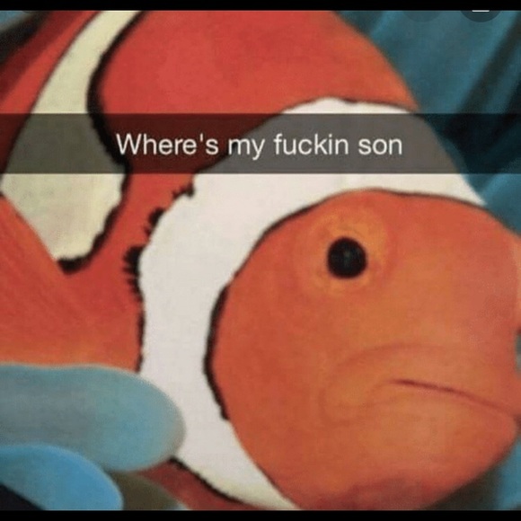 Andre Besteiro - Poshmark Profile Picture of Andre Besteiro (@andre5503) on Poshmark