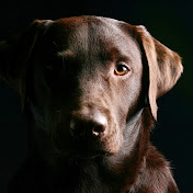 Profile Picture of Jussibjorling (@jussibjorling) on Youtube