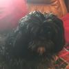 Profile Picture of Fay Mccallum (@@faymccallum) on Tiktok