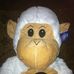 Profile Picture of Albus ShackelfordStauffer (@AlbustheAlbinoMonkey) on Facebook