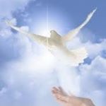 George Panopoulos - Instagram Profile Picture of George Panopoulos (@gpanop70) on Instagram