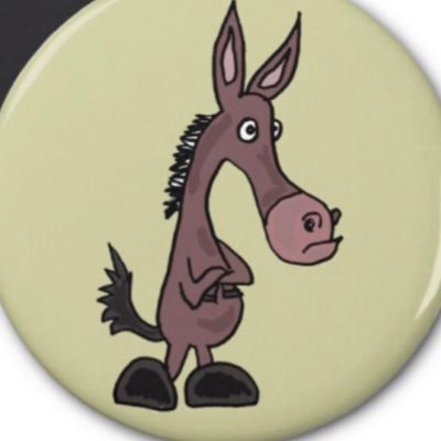 Profile Picture of Sam (@sam_mule_trim) on Twitter
