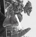 Profile Picture of Jeremy Rosal (@jeremy.rosal.750) on Facebook