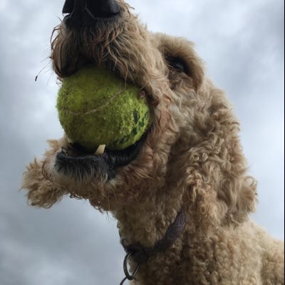 Profile Picture of James McPherson (@JamesMc43955851) on Twitter