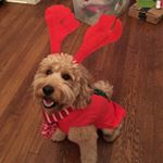 Profile Picture of Pete Sinton (@chewy4realz) on Instagram