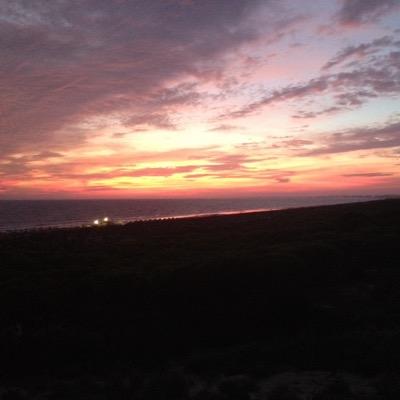 Profile Picture of Peter Heald (@healdpeter0) on Twitter