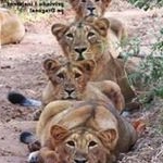 Profile Picture of adriancipriantrifas (@_aditrifas_12_) on Instagram