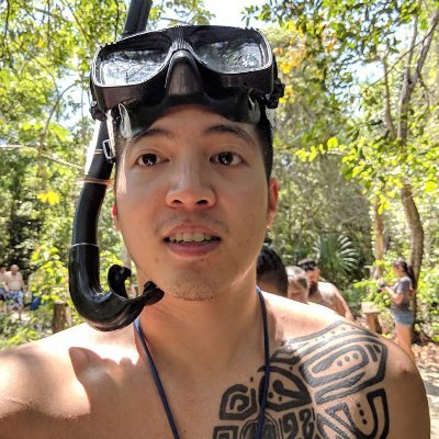 Profile Picture of David Nguyen (@DavidNDev) on Twitter