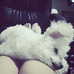 Profile Picture of Allison Gillespie (@allisokgillespie) on Instagram