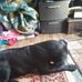 Profile Picture of Phyllis Hebert (@phyllis.hebert.1232) on Facebook