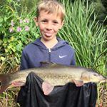 Profile Picture of Bobby Spiers :) (@bobby_benjamin_spiers) on Instagram