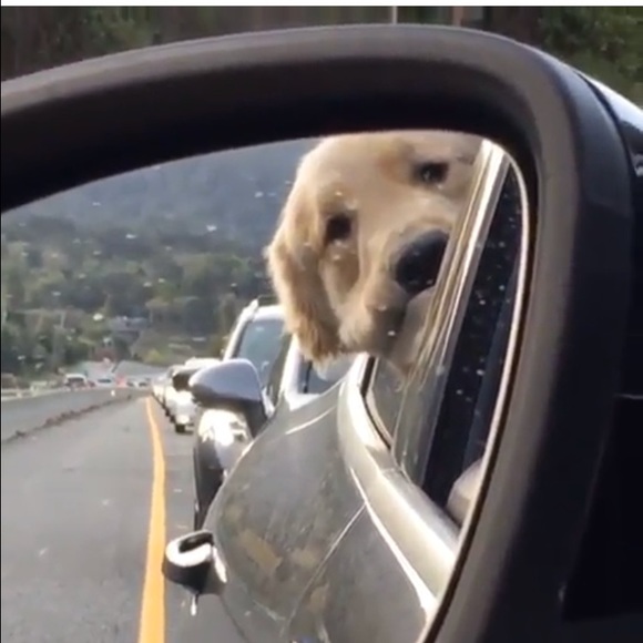 Profile Picture of Grayson Griser (@boiiiiiiiiii) on Poshmark