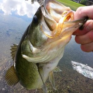 Profile Picture of JamesGuynn (@therealJGuynn) on Twitter