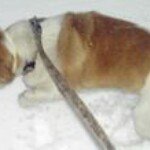 Profile Picture of Tony Stacy (@tony.stacy1) on Instagram