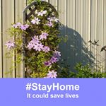 Profile Picture of Lynn Seigmiller (@lynnseigmiller) on Instagram