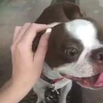 Profile Picture of Benita Wayne (@beni.ta6534) on Instagram