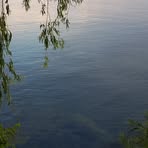 Profile Picture of Deborah HauriGerber (@deborah.gerber.311) on Facebook