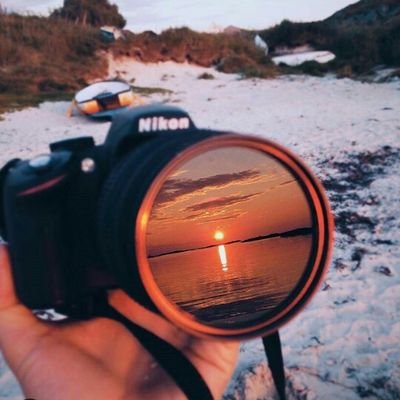 Profile Picture of Syed Maliha (@maliha5237) on Twitter