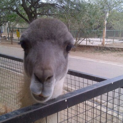 Profile Picture of Martin Whitaker (@martinwhitaker) on Twitter