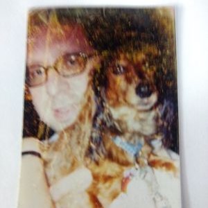 Profile Picture of Joel Bloom (@Joelbloom3) on Twitter