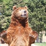 Profile Picture of Brian Wilbanks (@brikwil2170) on Instagram