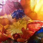 Profile Picture of Anne Marie Mitchke Sims (@michaelannemarie) on Instagram