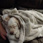 Profile Picture of Colette Fischer (@cmfischer1224) on Instagram