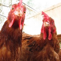 Profile Picture of Danielle Dalzell (@danielle-dalzell) on Quora