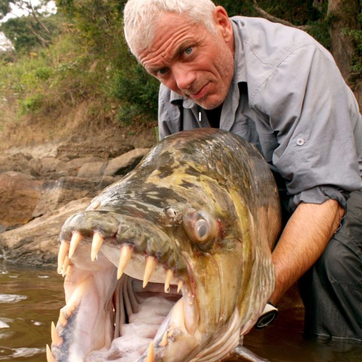 Profile Picture of Jeremy Wade (@jeremy.wade.official) on Tiktok