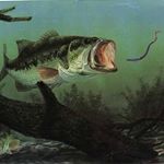 Profile Picture of Bob Darnell (@inspector141414) on Instagram