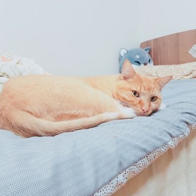 Profile Picture of Terry (@ErryLoL) on Twitter