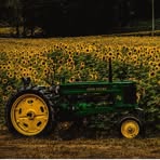 Profile Picture of Glen Acres (@Glen-Acres) on Facebook