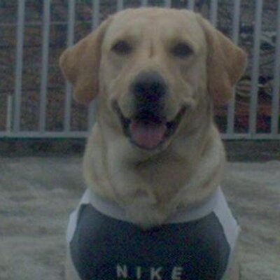 Profile Picture of John Granada (@gemelos1391) on Twitter