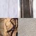 Profile Picture of Mulholland & Co (@claremulholland) on Pinterest