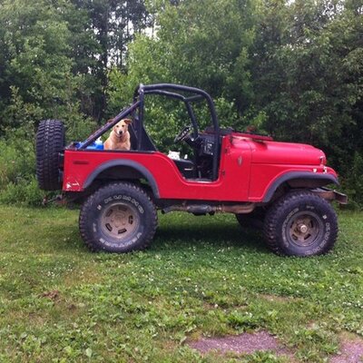 Profile Picture of Michelle Elms (@mlelms) on Twitter