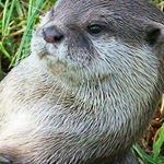 Profile Picture of Mark Drennan (@mark.drennan.67) on Instagram