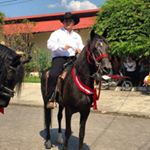 Profile Picture of Mario Echevarría🐂 (@marito49mx) on Instagram