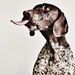 Profile Picture of Harriet Wadey (@harriet5389) on Pinterest