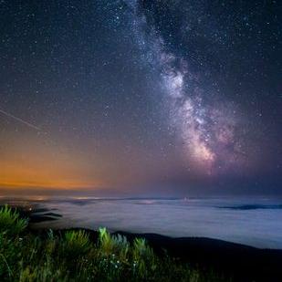 Profile Picture of Mitch Mclean (@AYoungMCLean) on Twitter