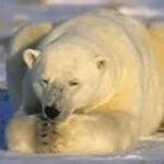 Profile Picture of Mike Speegle (@mroamer) on Instagram