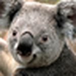 Profile Picture of Tcannon008 (@tcannon008) on Flickr