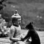 Profile Picture of Lisa Vagts (@l.vagts) on Instagram