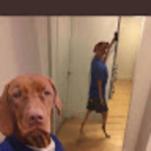 Profile Picture of Dylan Daughtridge (@d_daughtridge) on Poshmark