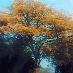 Profile Picture of YOLANDA GONZALEZ (@yolandagonzalez1) on Flickr